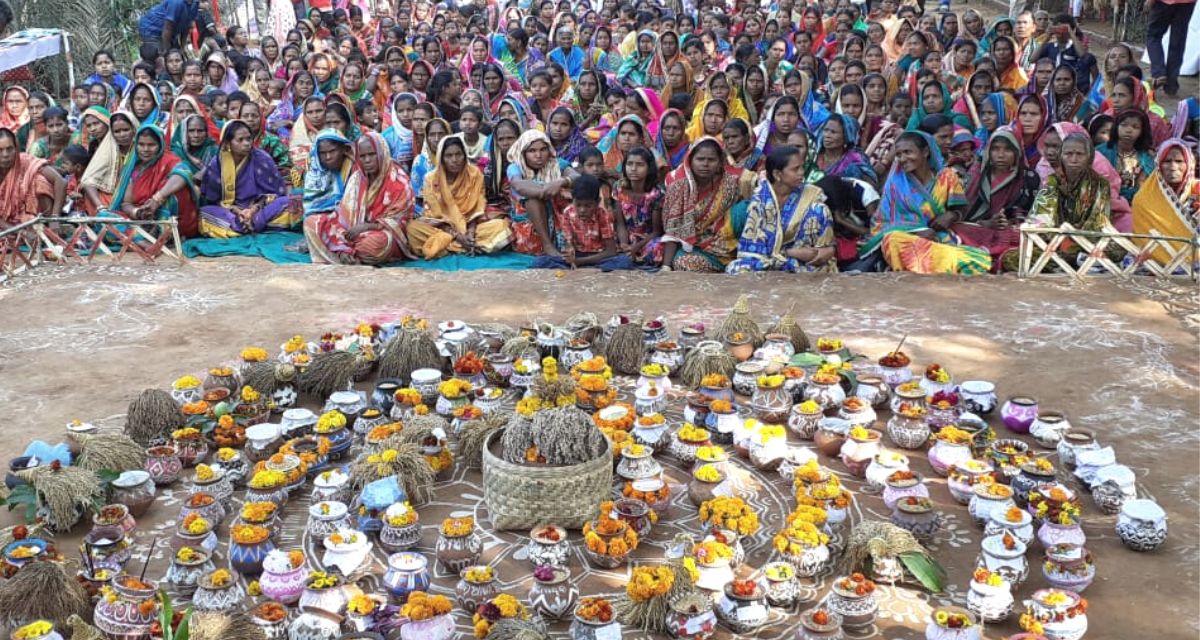 Seed Festival